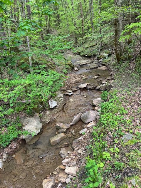Property Photo: 3911 Middlefork Road KY 40874