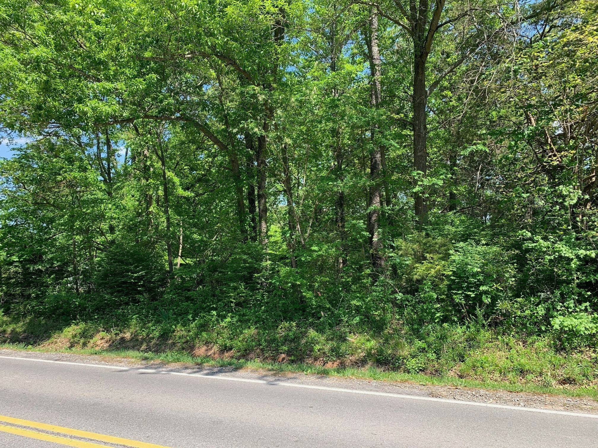 Property Photo: 0 Dotsonville Road TN 37042