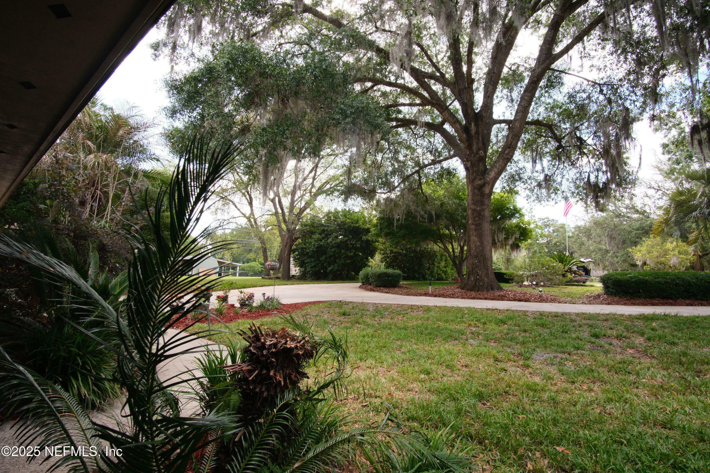 Property Photo: 917 Arthur Moore Drive FL 32043