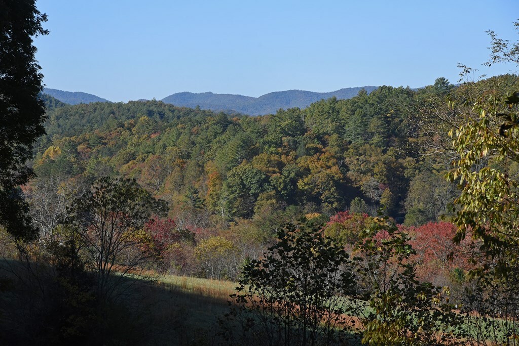 Property Photo: 160 Mountain Field Drive GA 30572