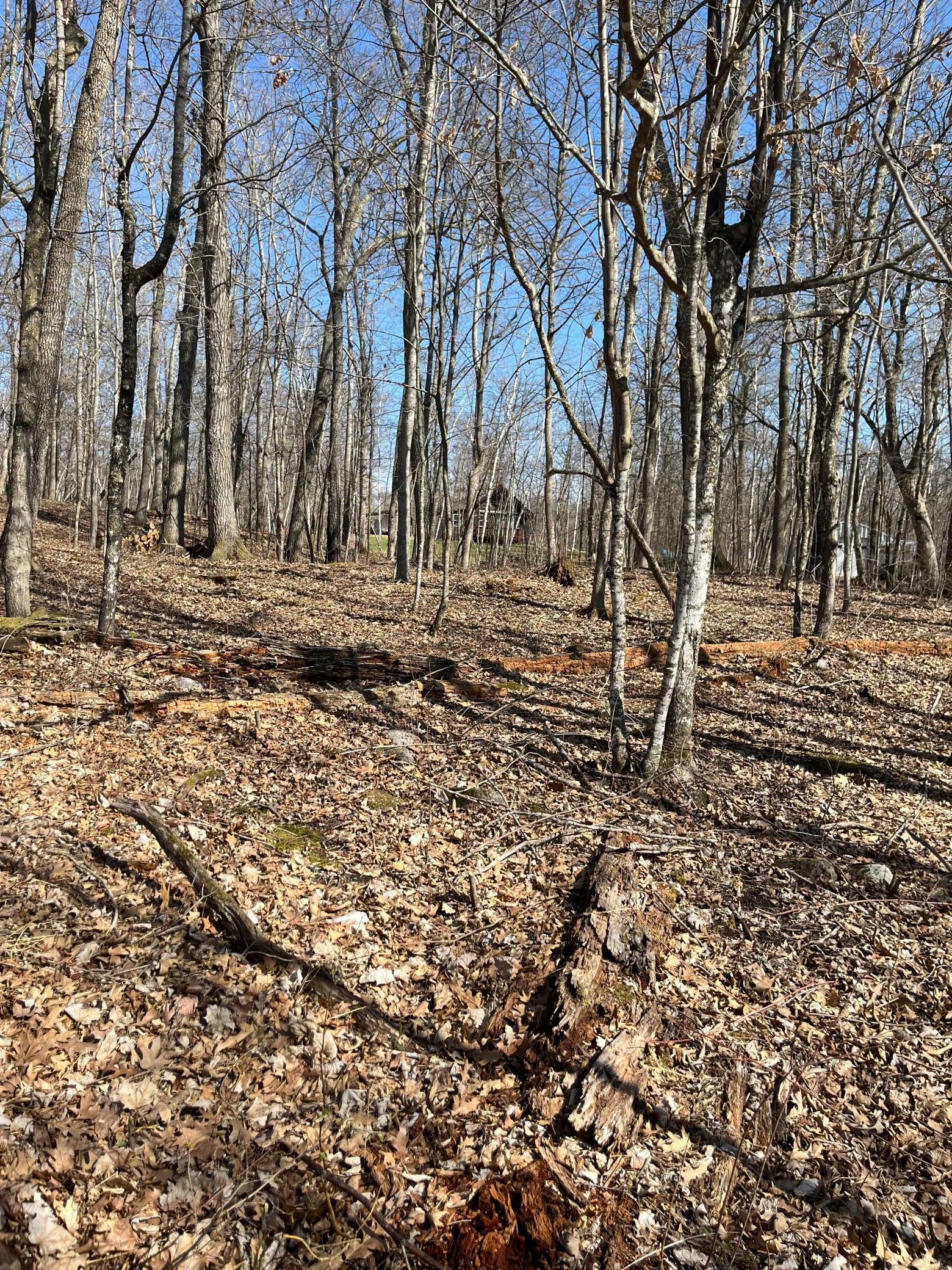 Property Photo: Lot 1 Block 12 MN 56450