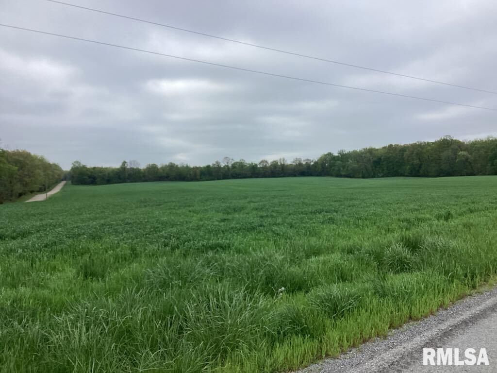 Property Photo:  0 County Road 750 N  IL 62859 