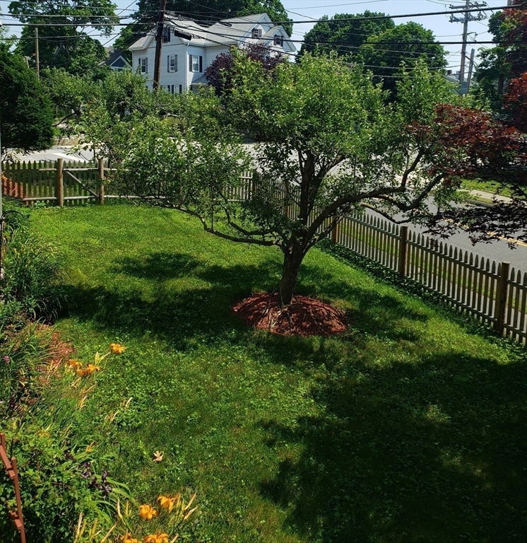 Property Photo:  152 Plympton Street 152  MA 02451 