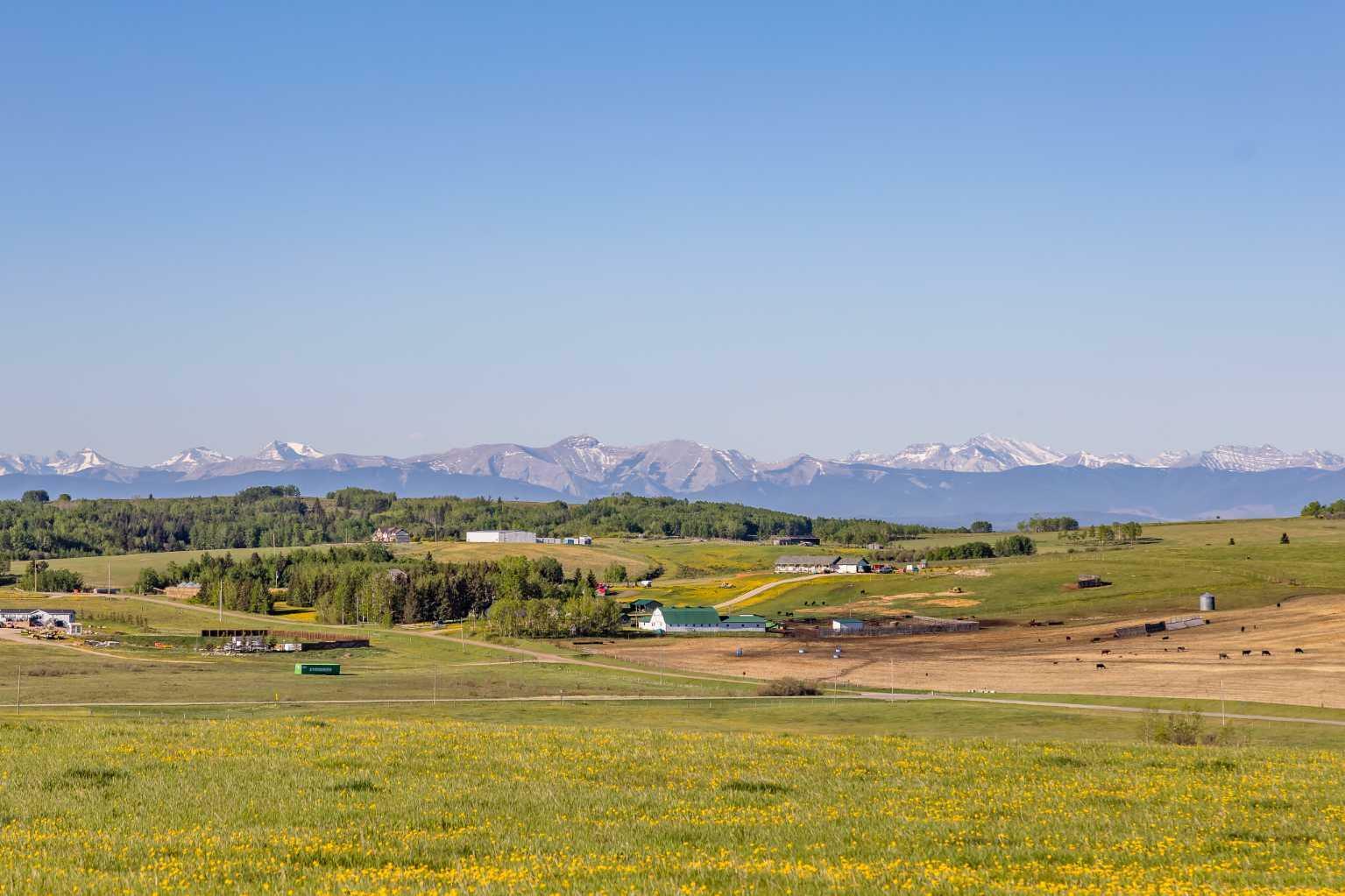 325 Acres Horse Creek Road  Rural Rocky View County AB T4C 2X2 photo