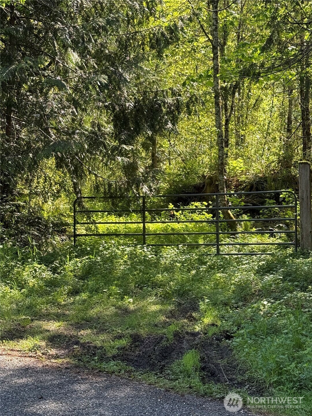 0  Alger Ccc Road  Sedro Woolley WA 98284 photo