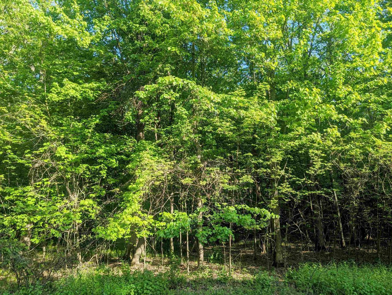 Property Photo: 0 South Badger Lane WI 54613