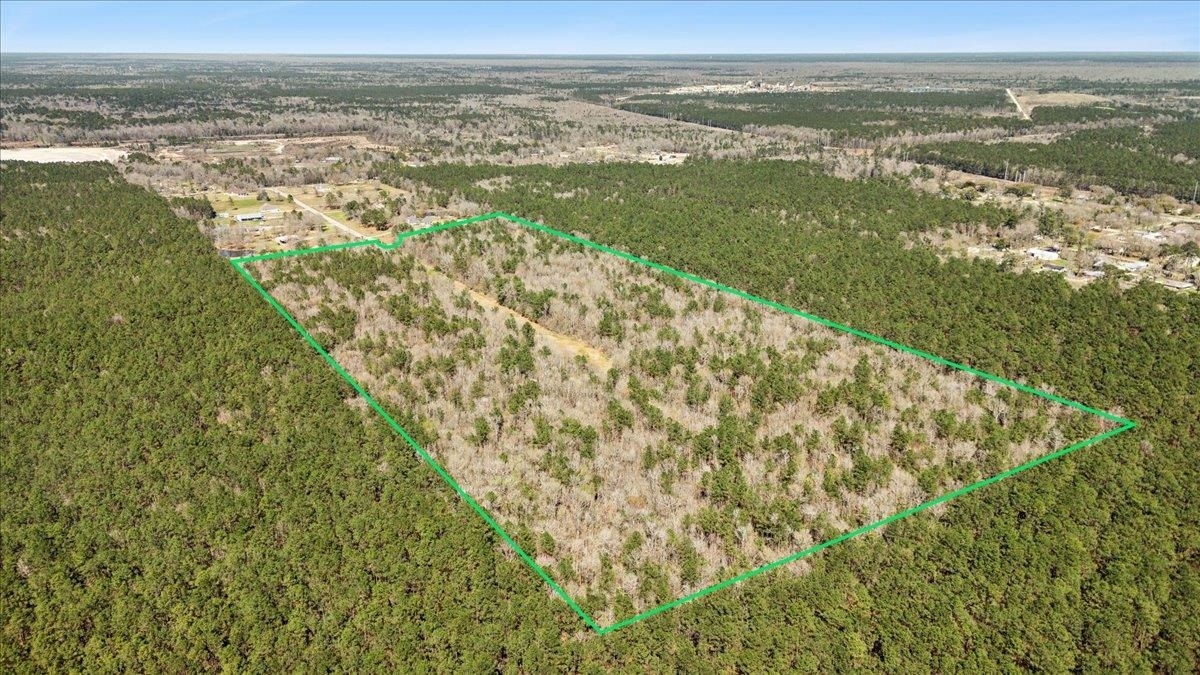 Property Photo: 49.795 Acres Elizabeth Lane TX 77632