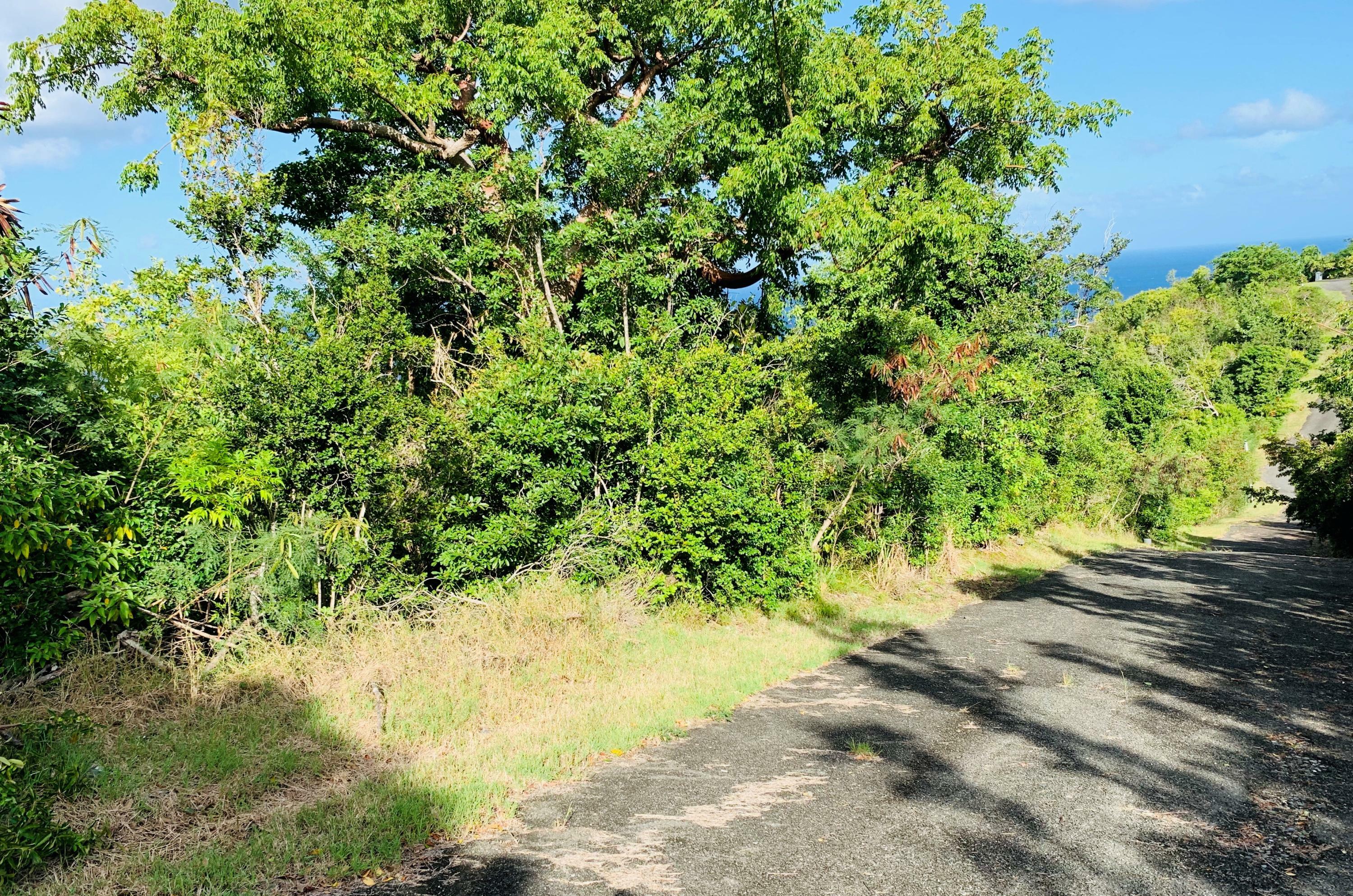 Property Photo: 47 Prosperity Nb VI 00840