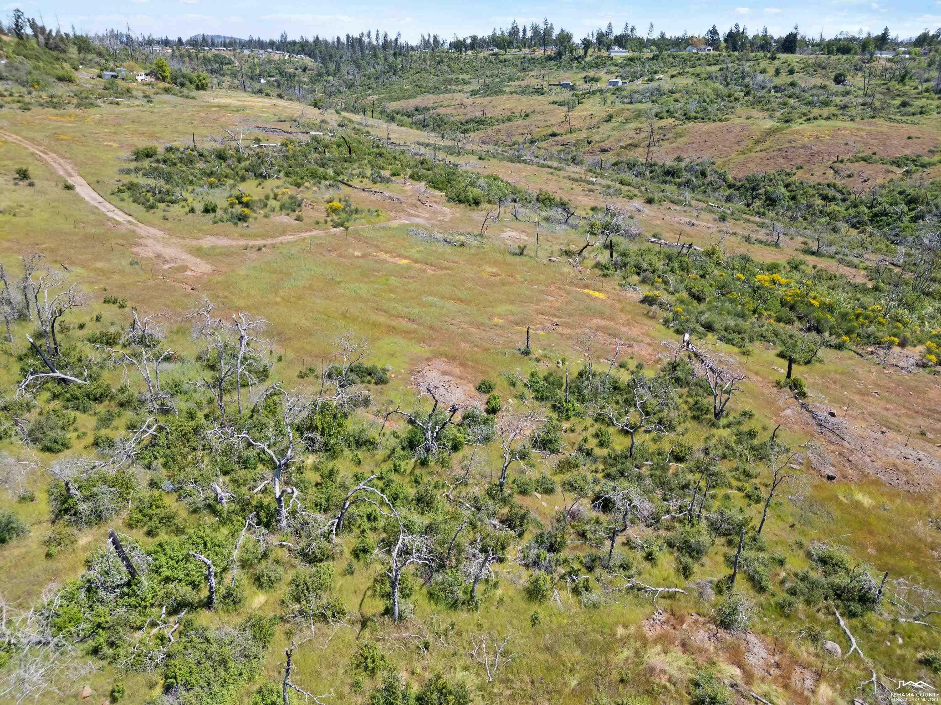 Property Photo:  5200 Villa Falls  CA 95969 