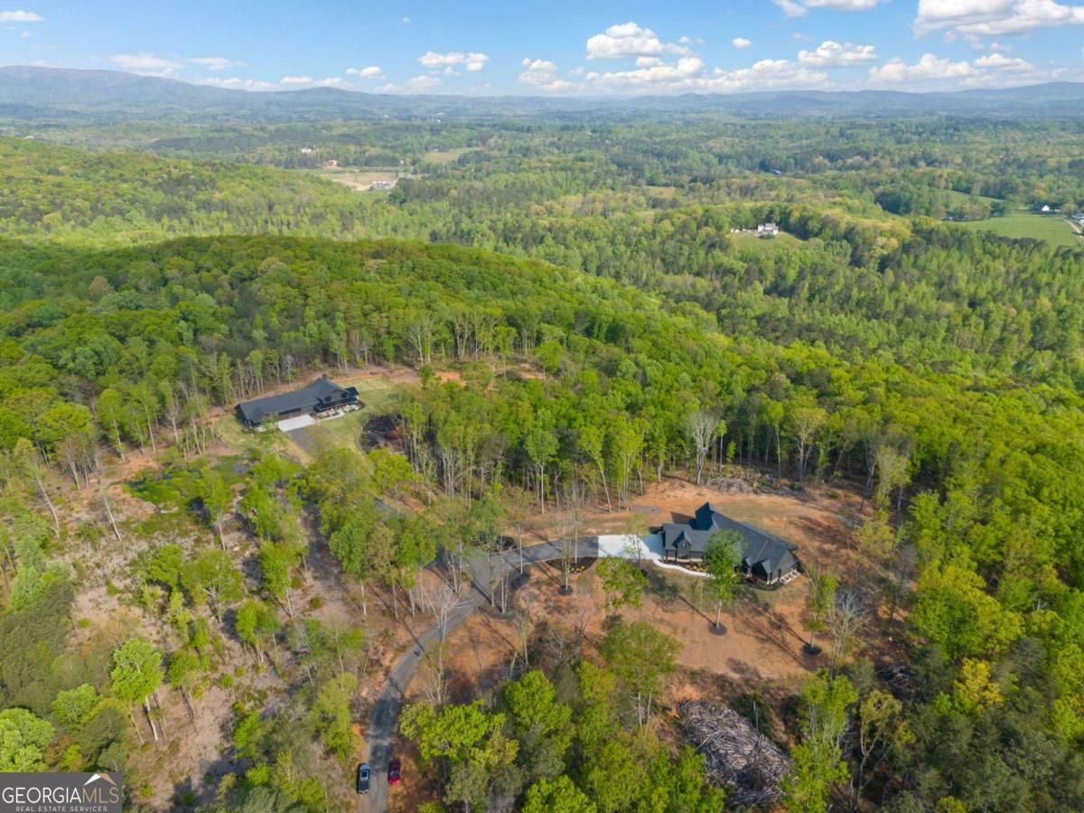 Property Photo: 281 Abbott Drive GA 30114