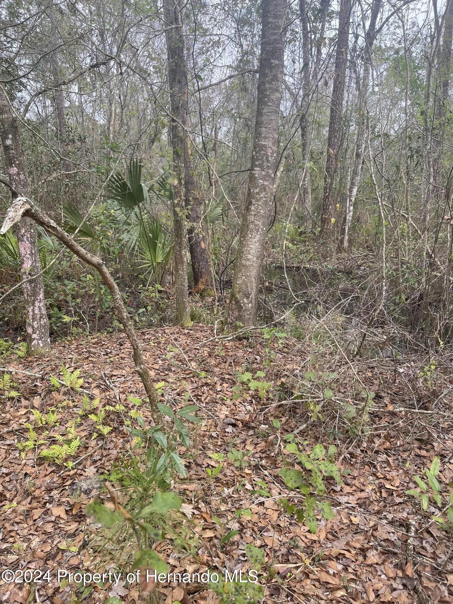 Property Photo:  0 Nuzum Road  FL 34613 