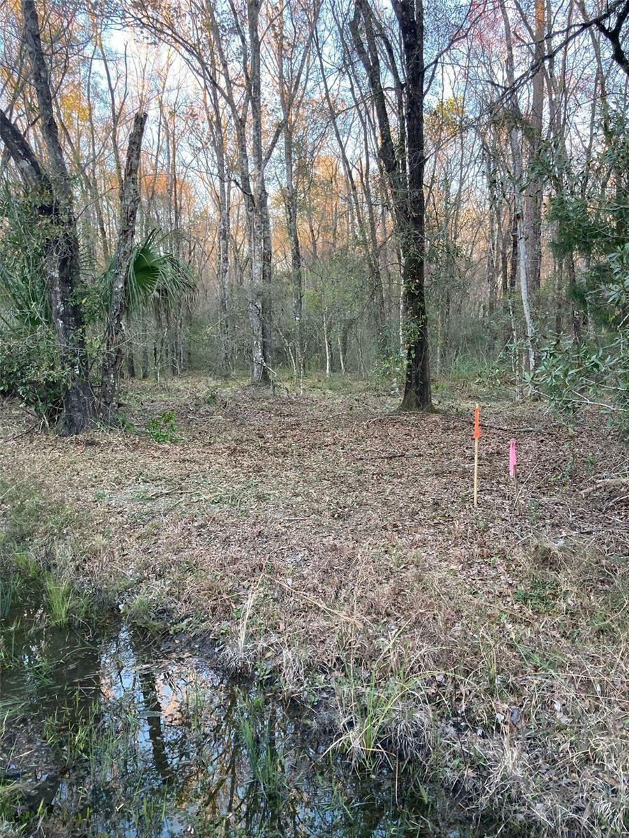 Property Photo: 10450 Weatherby Avenue FL 32145