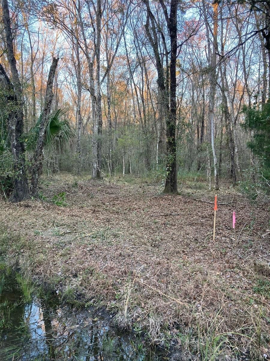 Property Photo: 10450 Weatherby Avenue FL 32145
