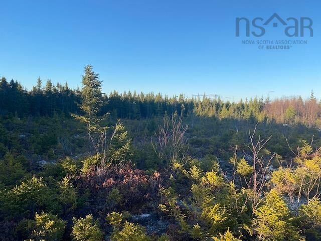 Property Photo:  Lot 6 Mailman Branch Road  NS B0K 1J0 