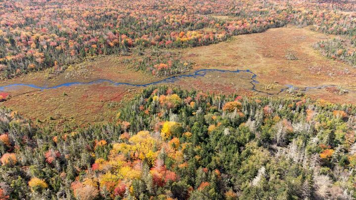 Property Photo:  Lot West Sable Road  NS B0T 1W0 