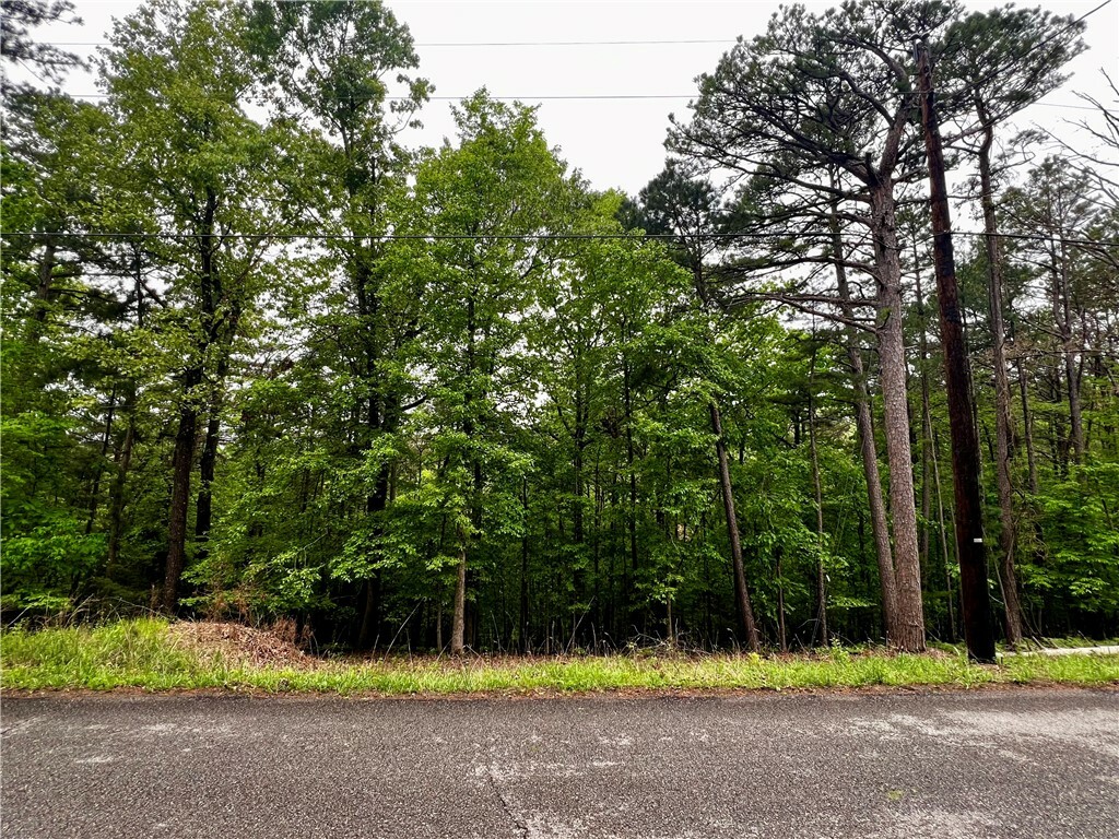 Property Photo: Lot 959 Spruce Drive AR 72756
