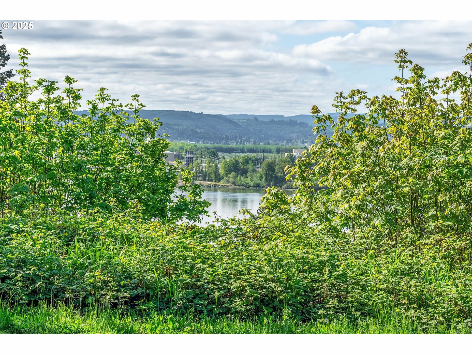 Property Photo: Mill Falls Ln WA 98632