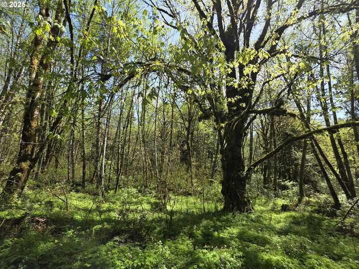 Property Photo:  Mill Falls Ln  WA 98632 