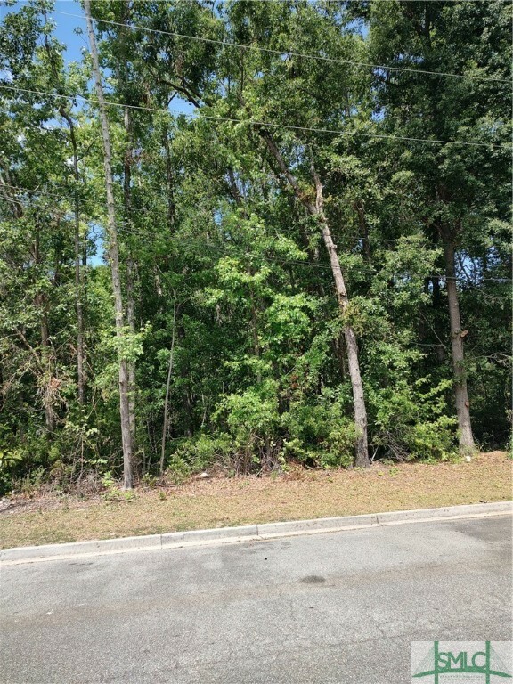 Property Photo: 0 Fayette Street Lot 4 GA 31405