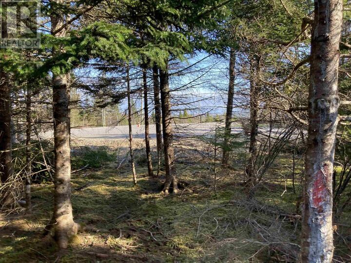 Photo de la propriété:  Lot 21-9 Mary Cecelia Ridge  NS B0H 1P0 