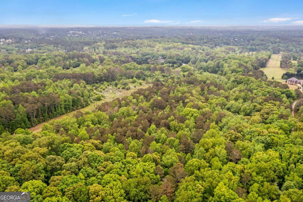 Property Photo: 0 Mountain Road GA 30004