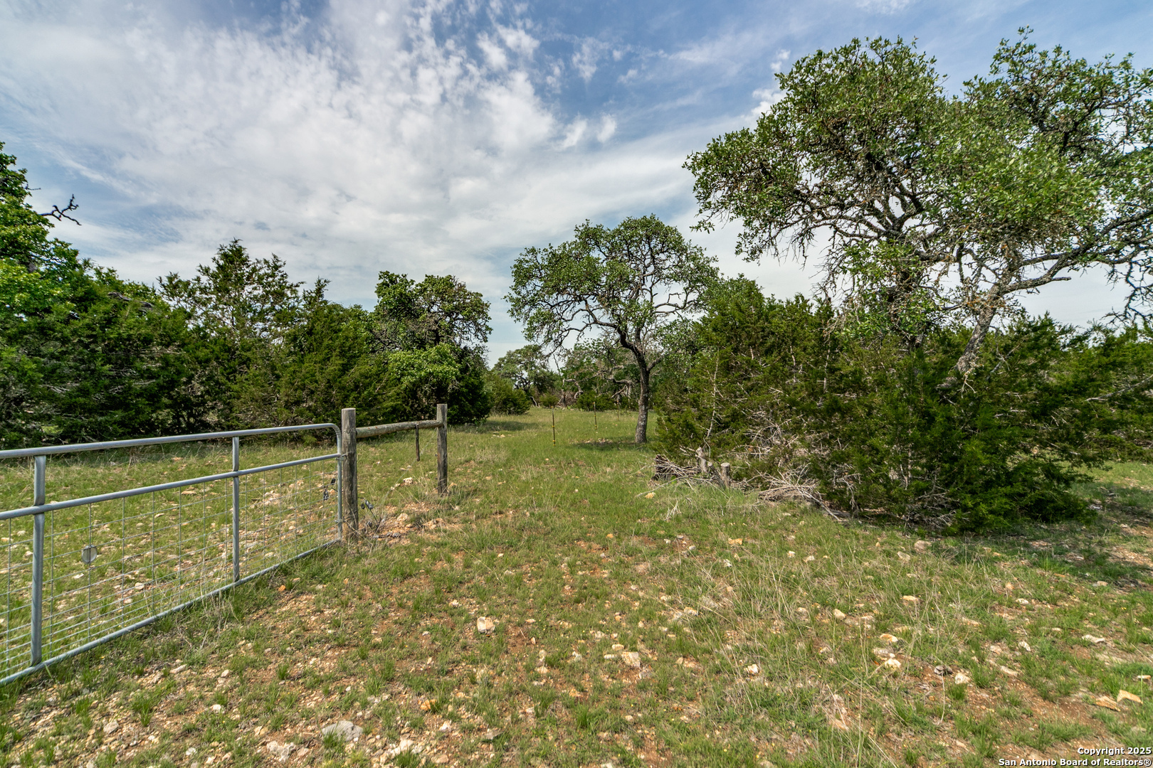 Property Photo: 645 Arthur Ave TX 78624