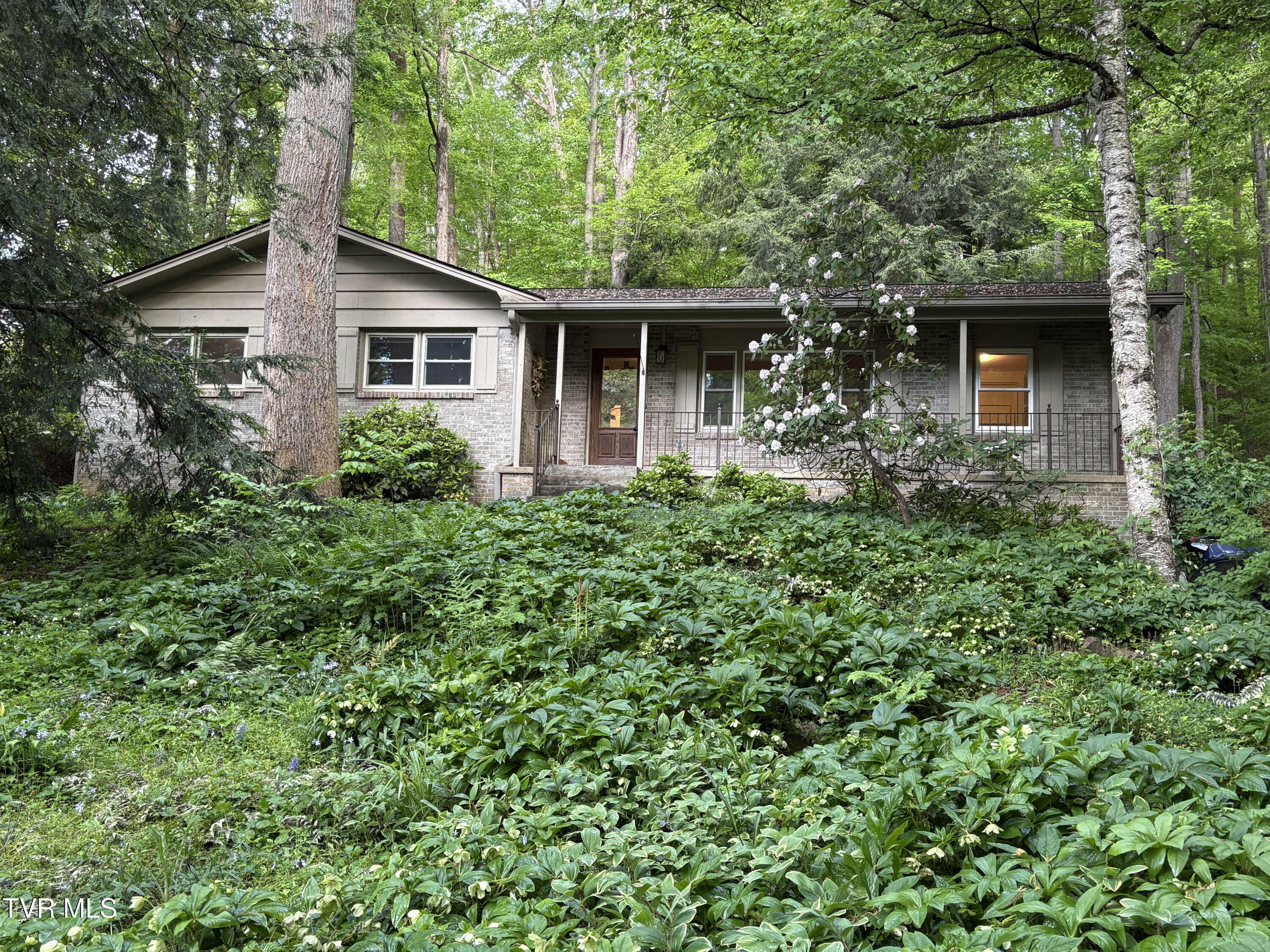 Property Photo: 5 White Oak Court TN 37604