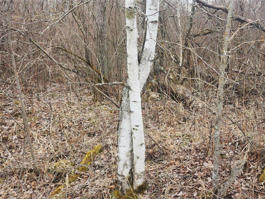 Photo de la propriété: 0 10N Road MB R0A 1Y0