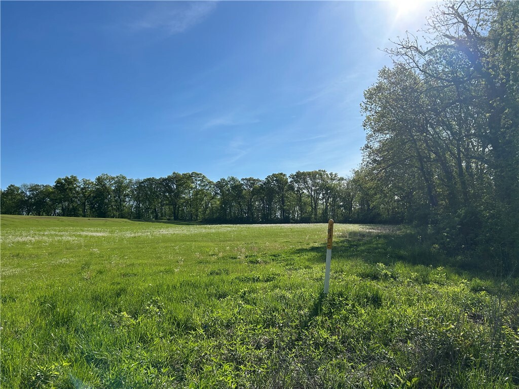 Property Photo: Rte 29 Route IL 62568