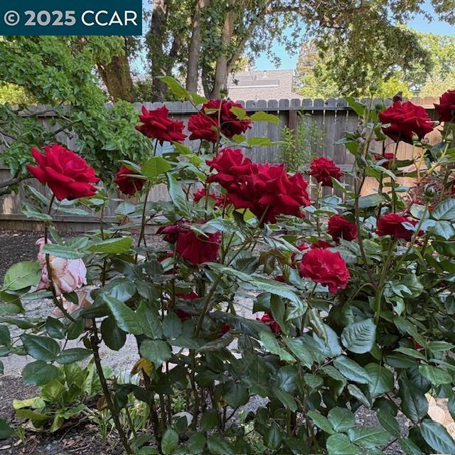 Property Photo: 2150 Whyte Park Ave CA 94595