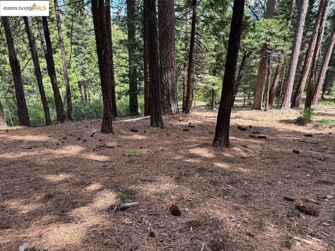 Property Photo: 24871 Prospector Dr CA 95346