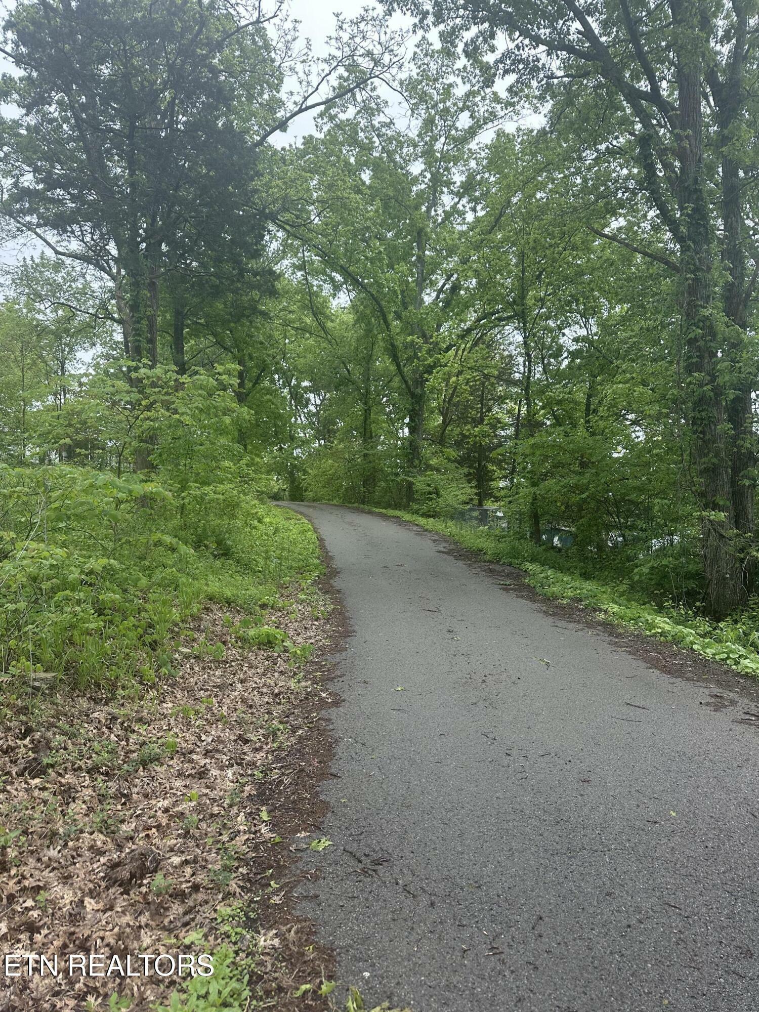 Property Photo: Oakdale Ave TN 37752