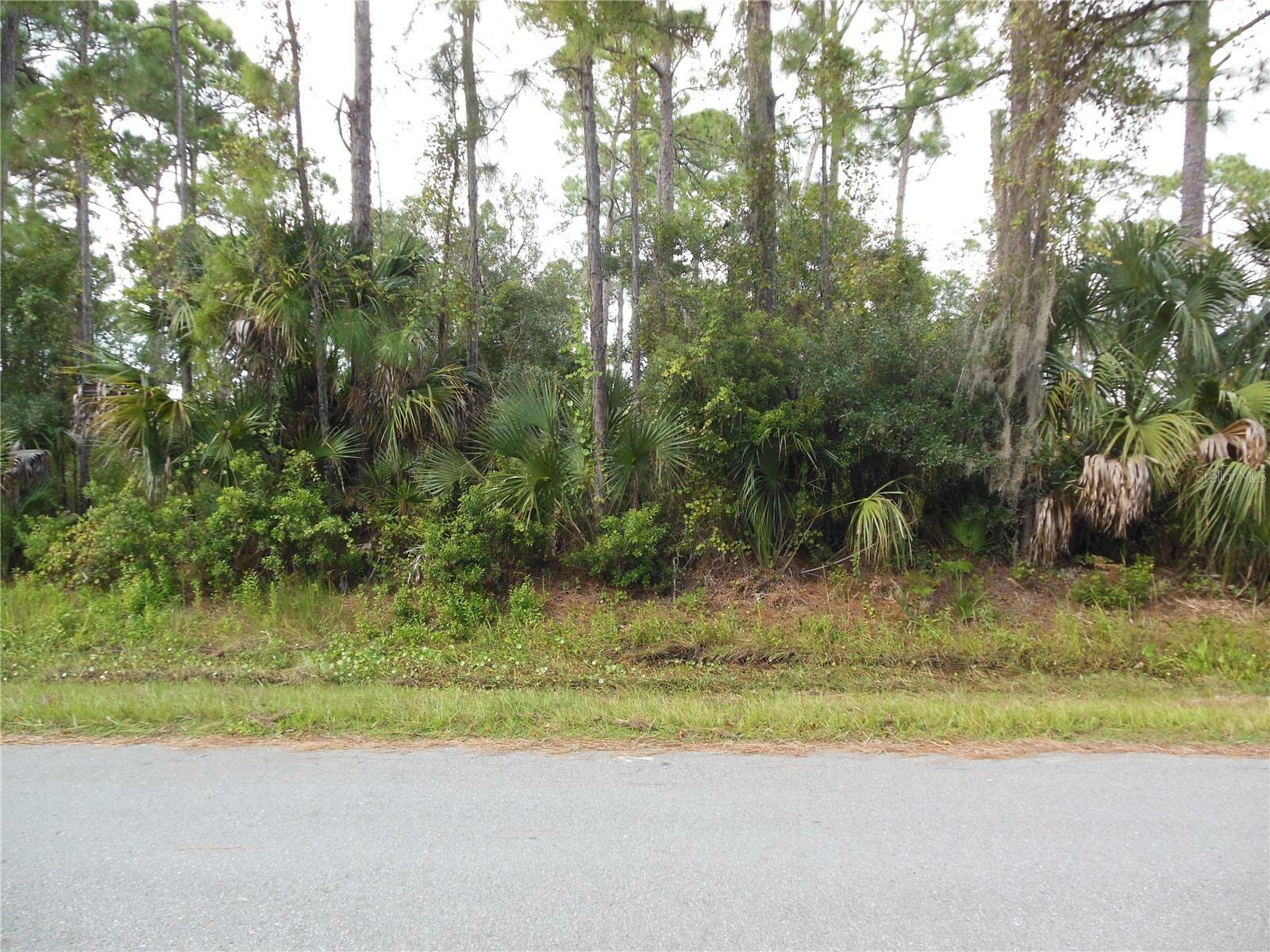 Property Photo: Lot 7 Concinna Street FL 34288