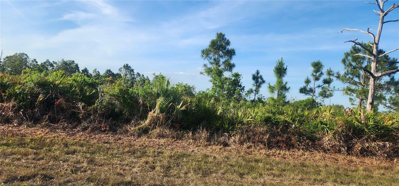 Property Photo: 12092 Beiman Avenue FL 33981