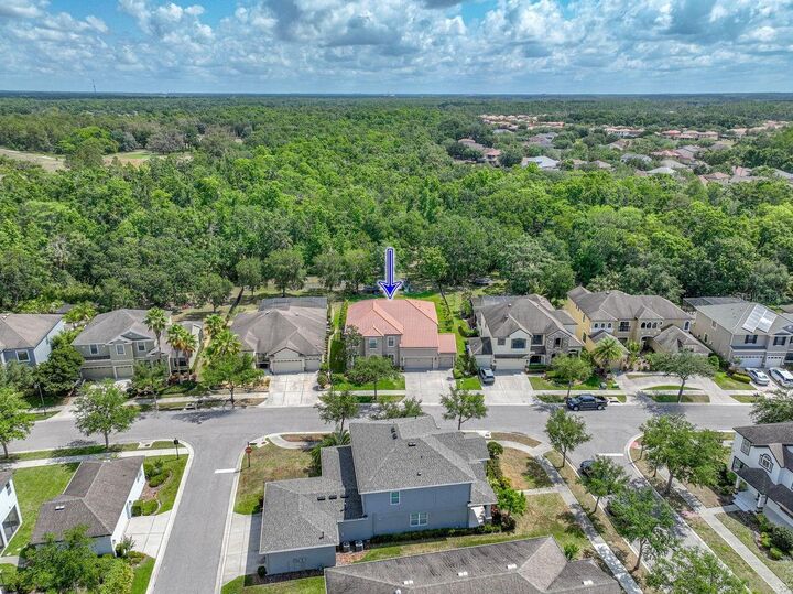 Property Photo: 7927 Hampton Lake Drive FL 33647