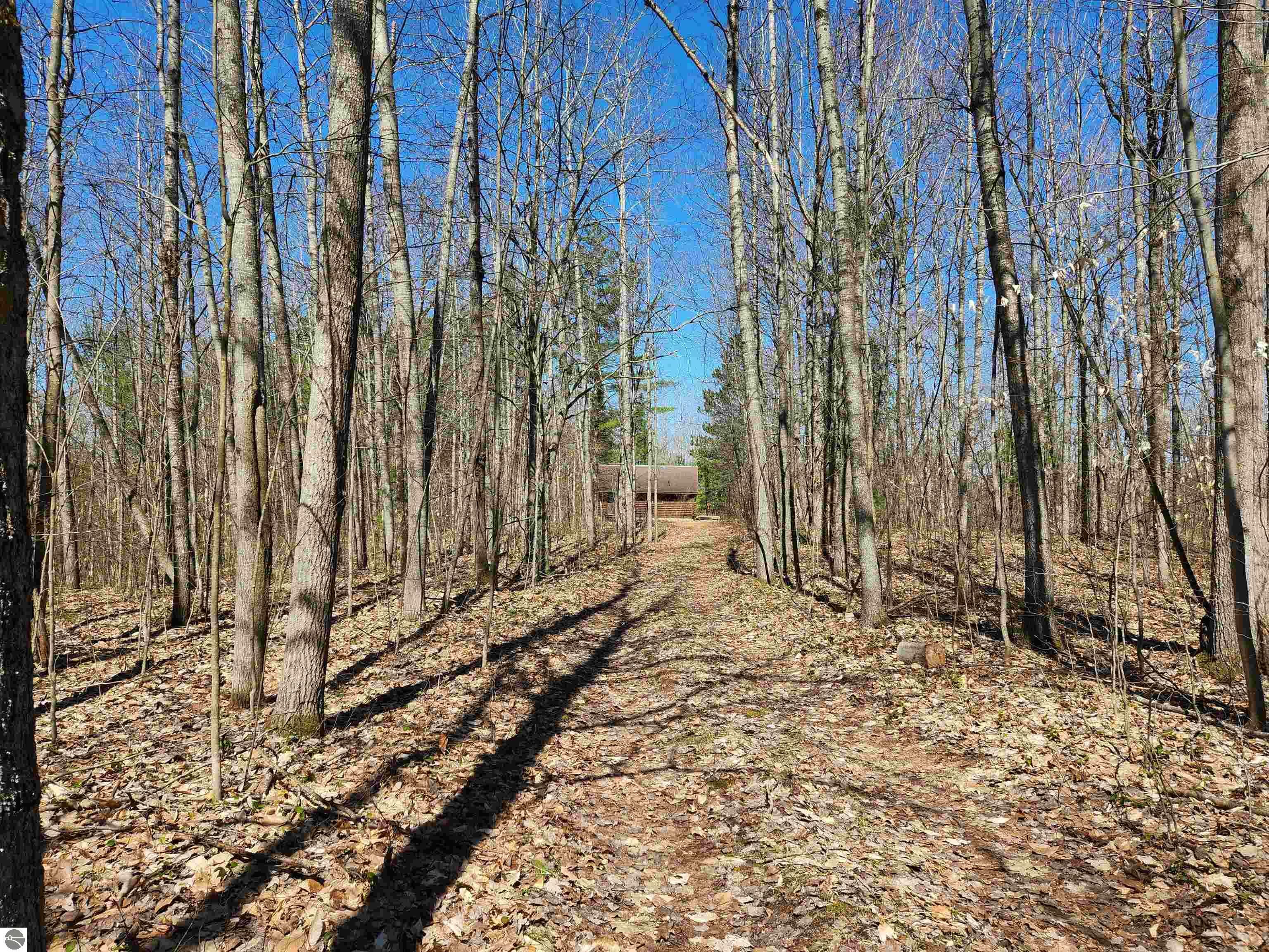 Property Photo: 0 Big Bear Trail MI 49646