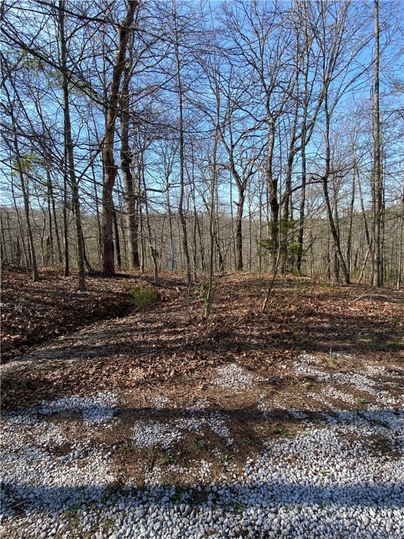 Property Photo: Lot 41, Block 1 Bridlington Drive AR 72714