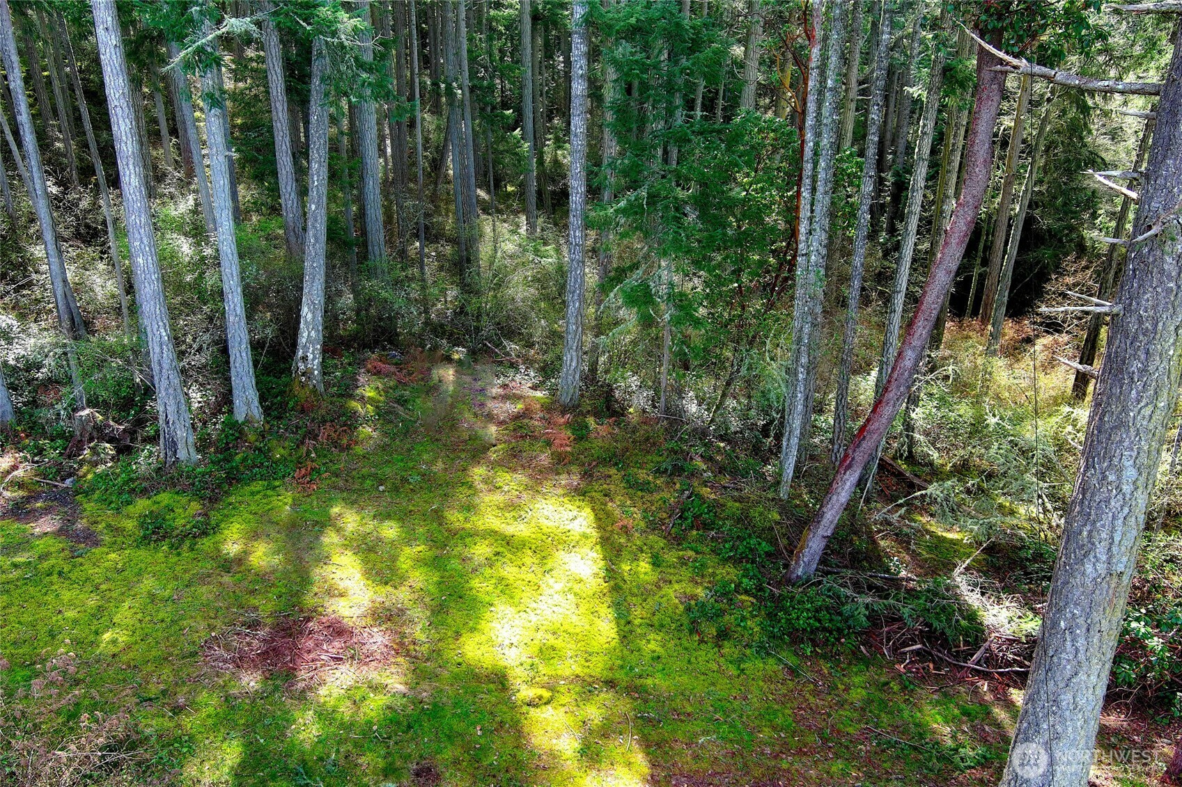 Property Photo: 87 Conifer Lane WA 98250