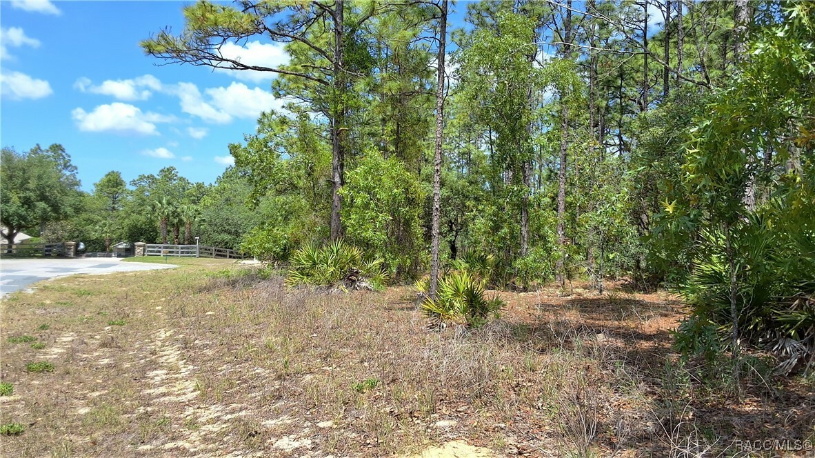 Property Photo: 4470 W Pansy Lane FL 34465