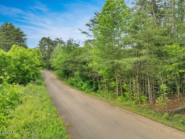 Property Photo: Lot 22 Symphony Way TN 37821