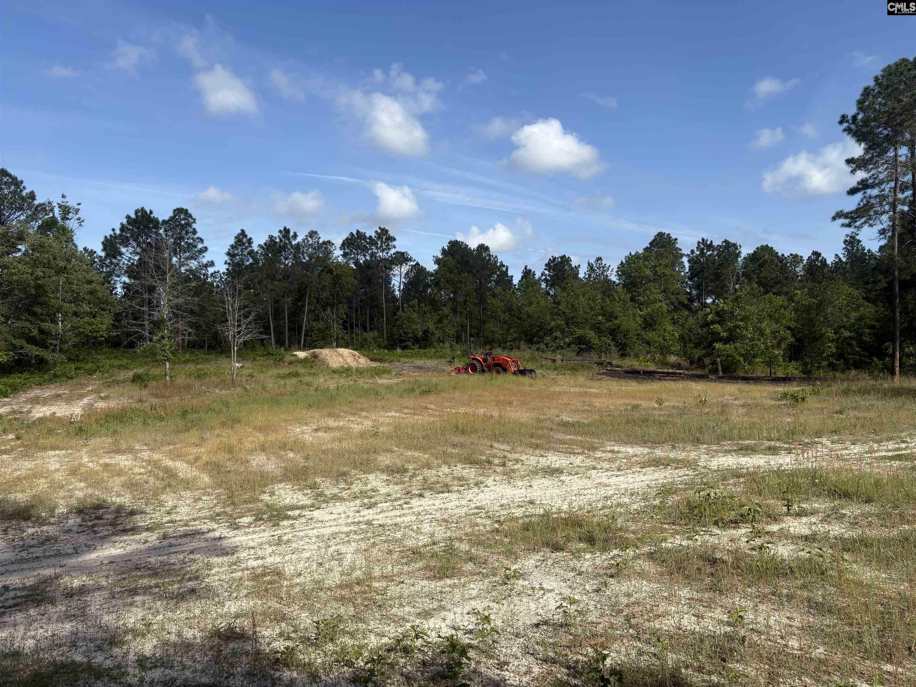 Property Photo: 656 Daisy SC 29006