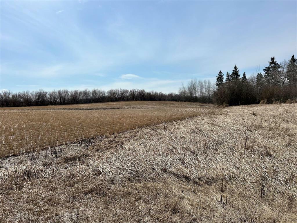 Photo de la propriété:  89063 Pth 10 Road  MB R0J 1E0 