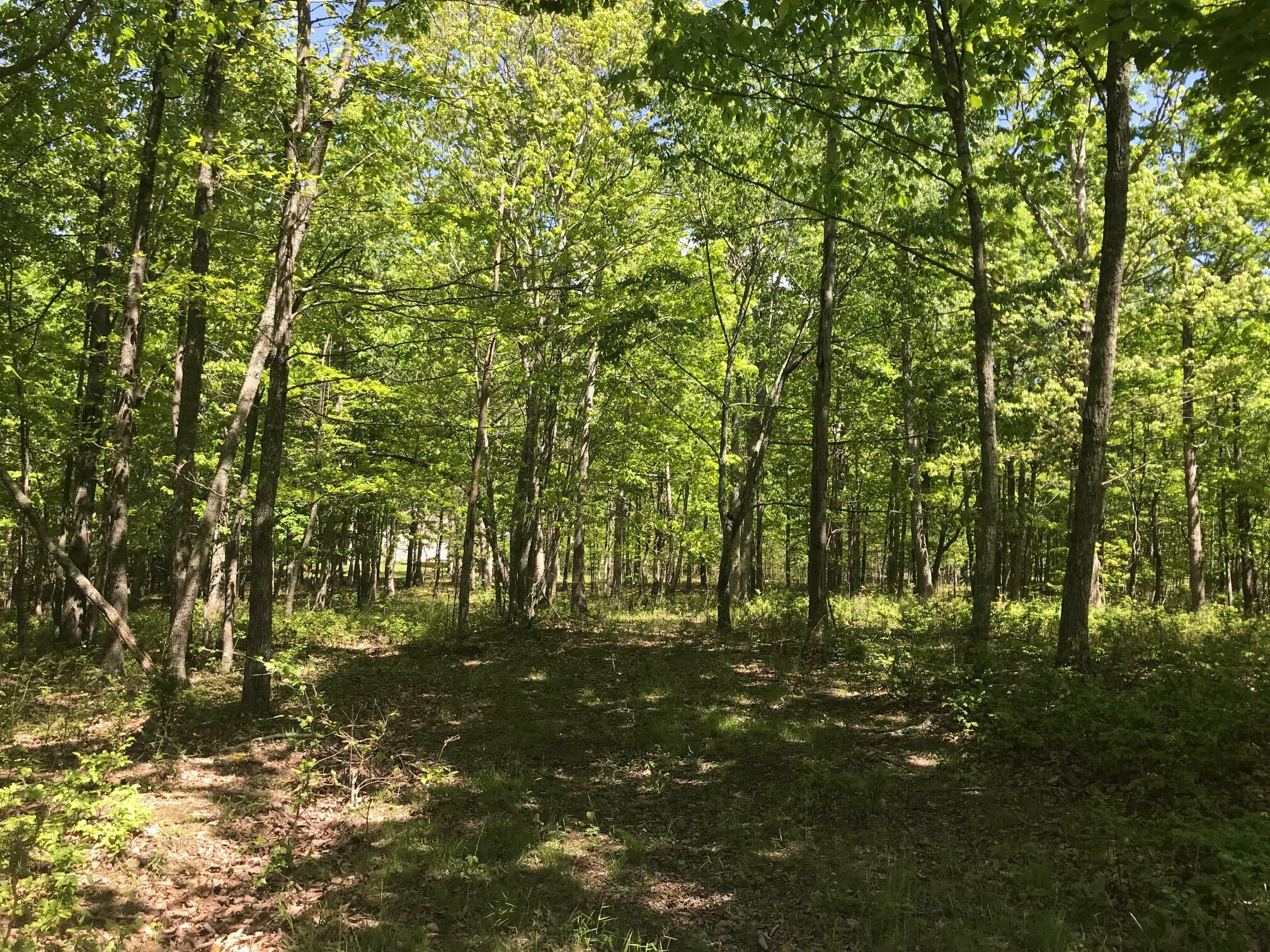 0 2 Lake Trl  Dunlap TN 37327 photo