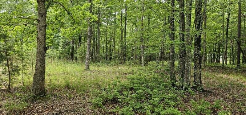 Property Photo: 0 2 Lake Trl TN 37327