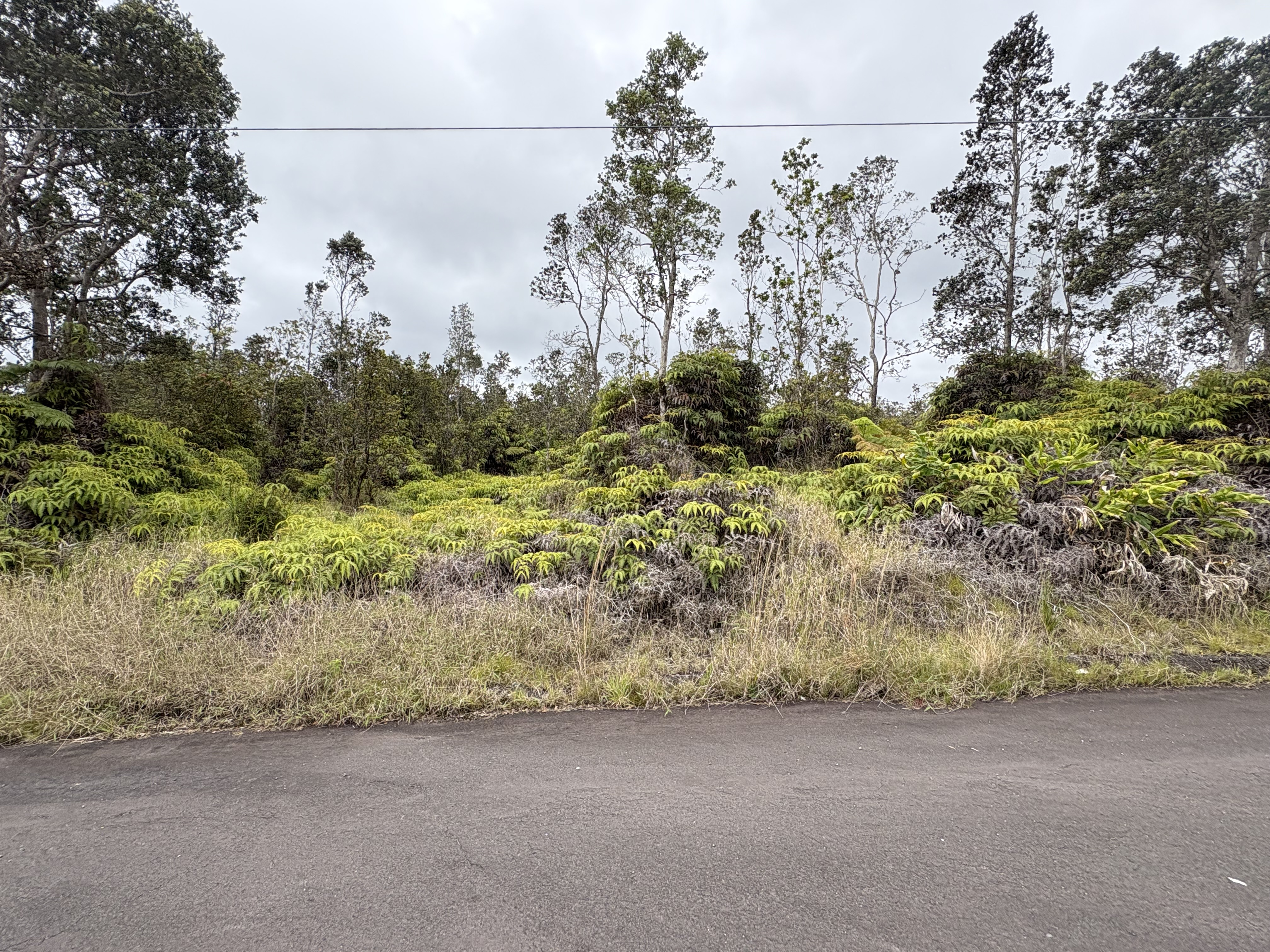 Volcano Rd  Volcano HI 96785 photo