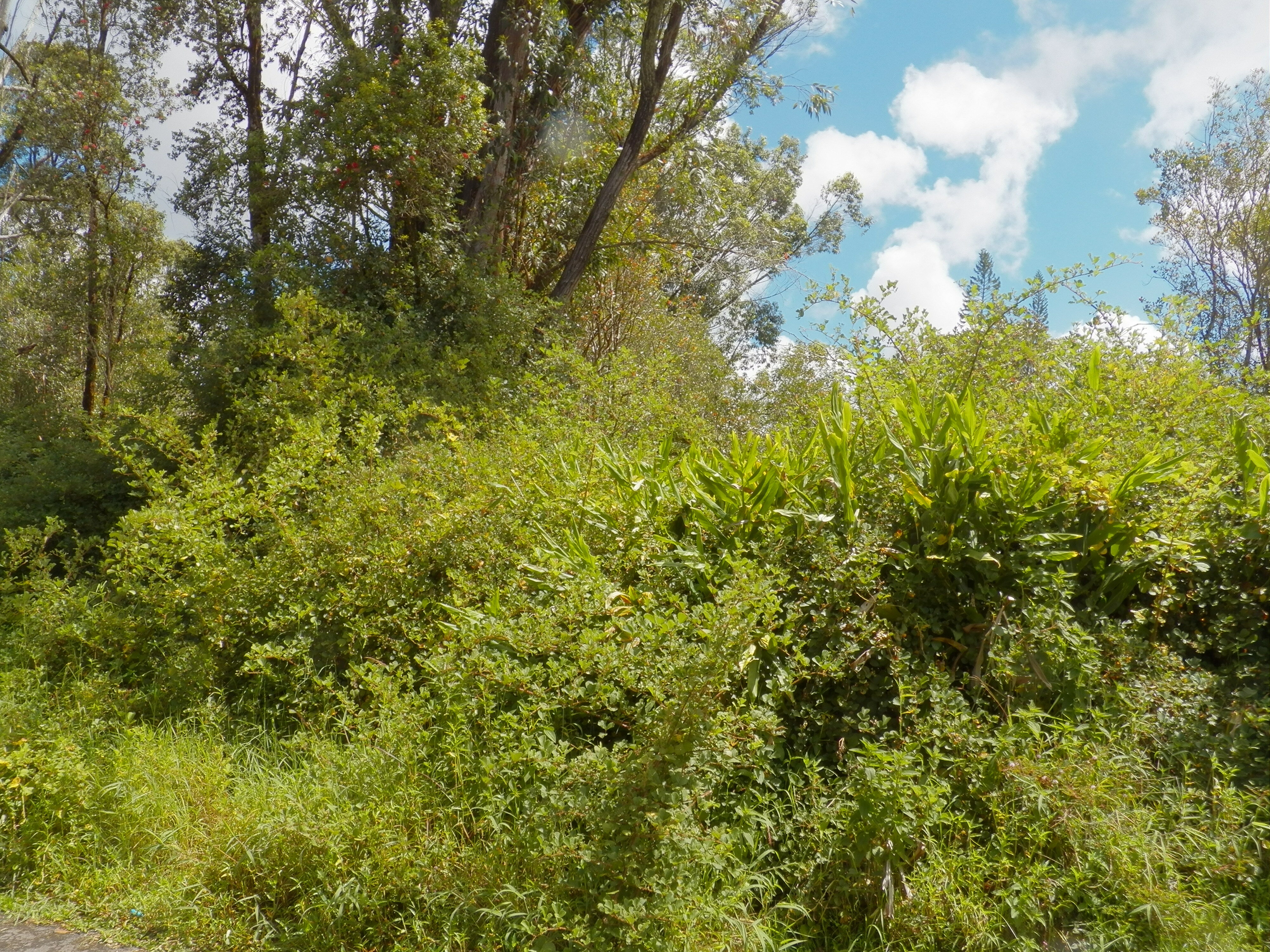 Property Photo: Hinuhinu St HI 96785