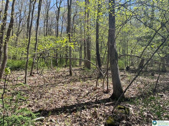 Property Photo: 23 Hemlock Road PA 18058