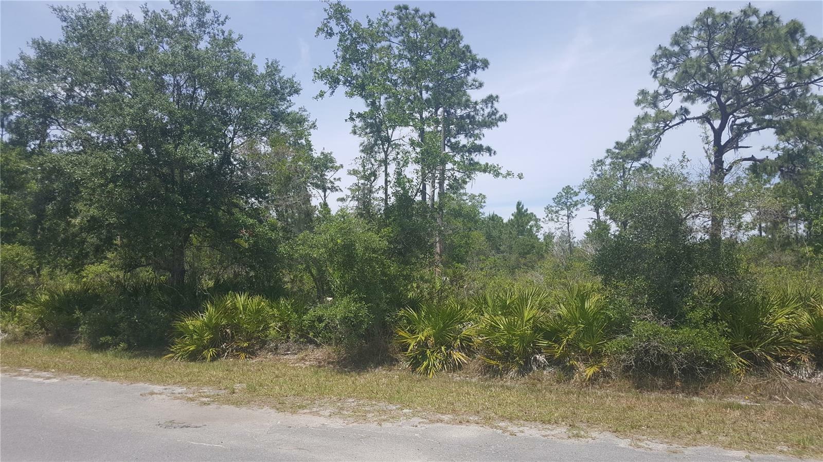 Property Photo: 702 Indian Lake Drive FL 33855