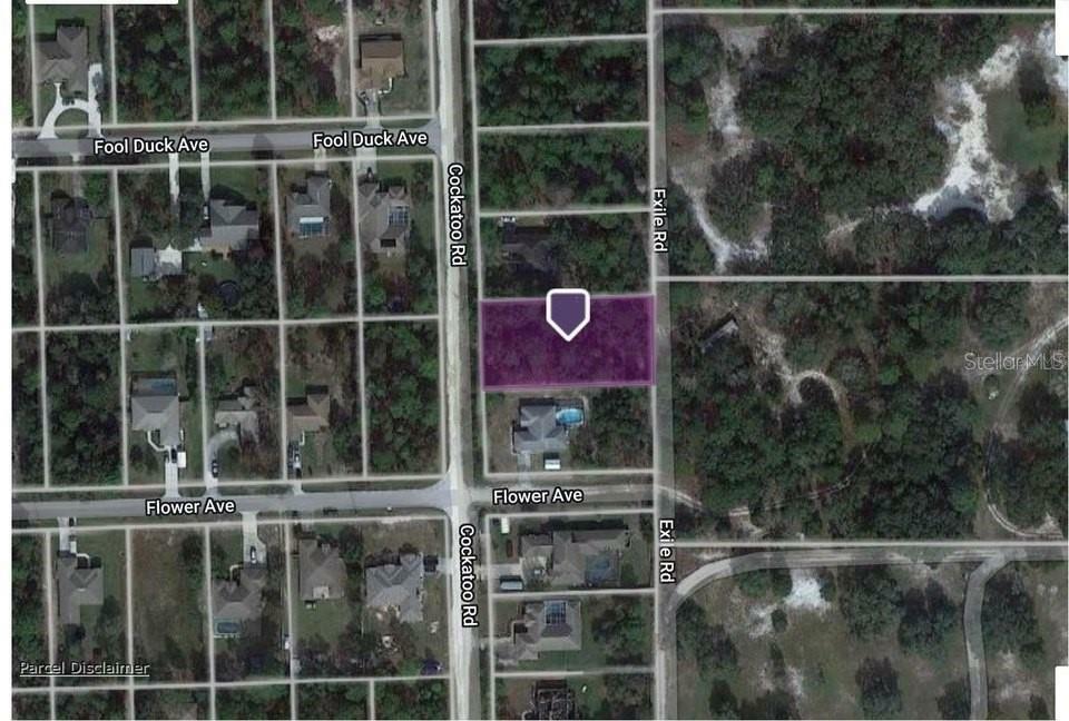Property Photo: 8312 Cockatoo Road FL 34613