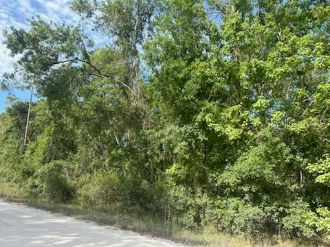 Property Photo: Lots 551-559 Hawthorne Street FL 33540